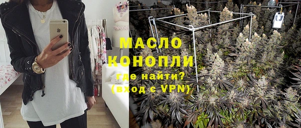 эйфоретик Няндома