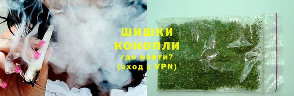 эйфоретик Няндома