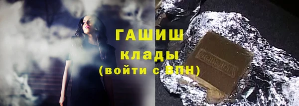 эйфоретик Няндома