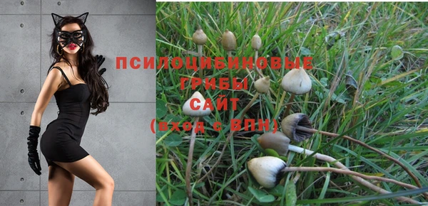 2c-b Нягань