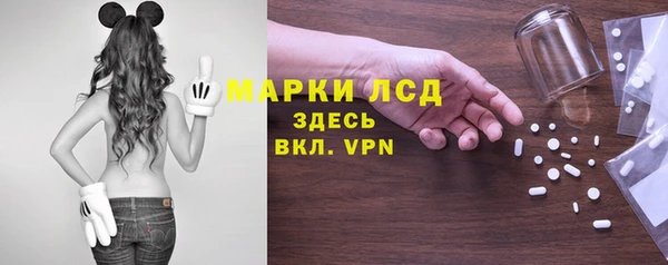 эйфоретик Няндома