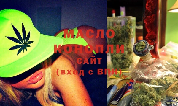 эйфоретик Няндома