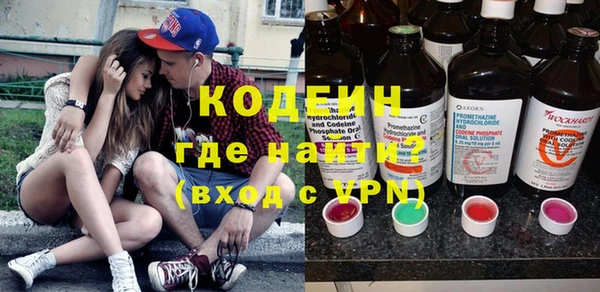 эйфоретик Няндома