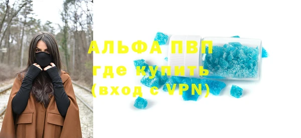 эйфоретик Няндома