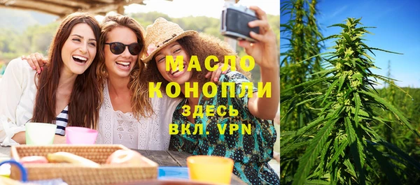 эйфоретик Няндома