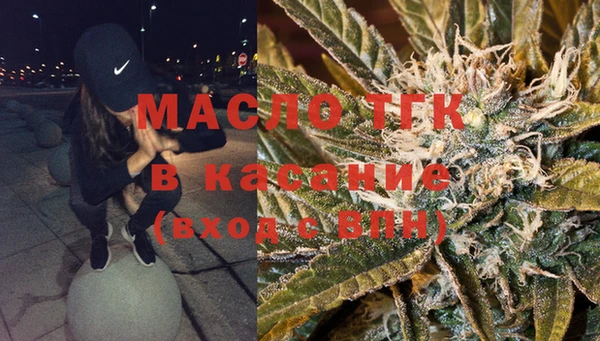 эйфоретик Няндома