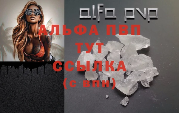 эйфоретик Няндома