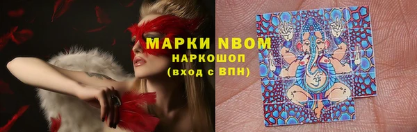 эйфоретик Няндома