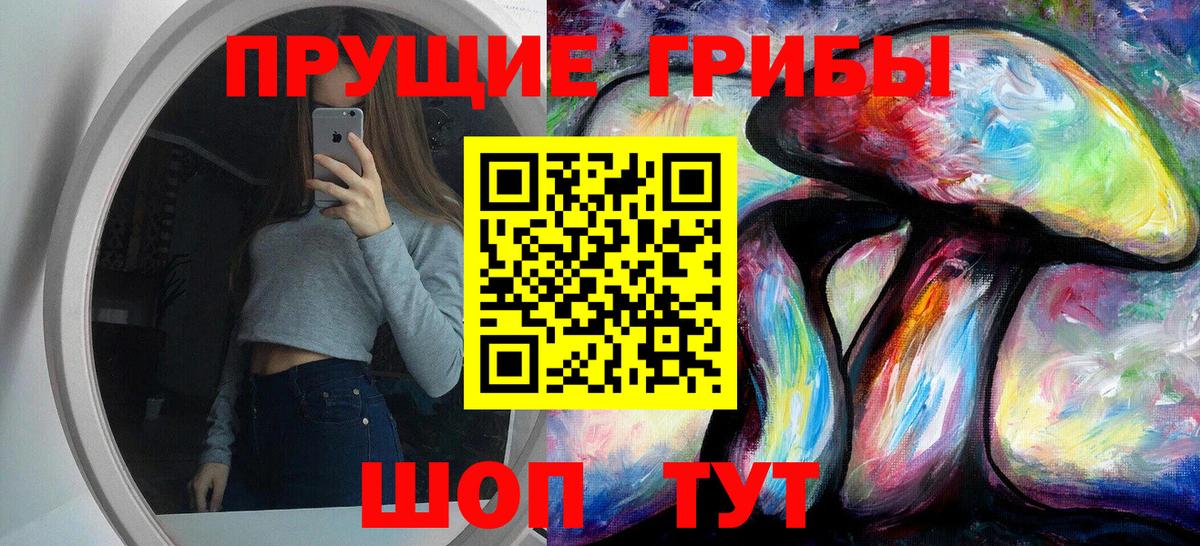 Псилоцибиновые грибы мицелий  Галлюциногенные грибы GOLDEN TEACHER  Вход с VPN  Черногорск 
