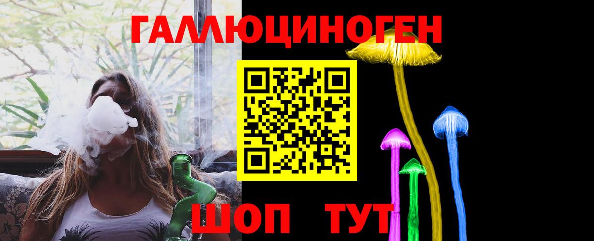 Галлюциногенные грибы Psilocybe Черногорск